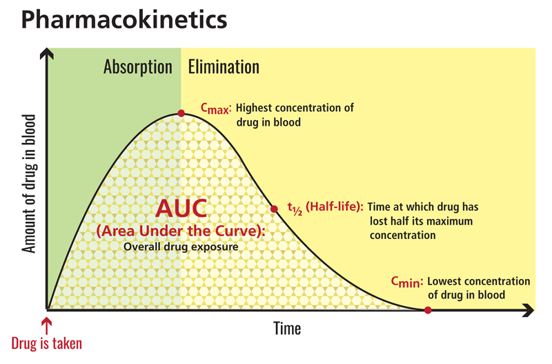 Graph showing drug absorption and elimination over time with labeled pharmacokinetic terms AUC, Cmax, t½, and Cmin.